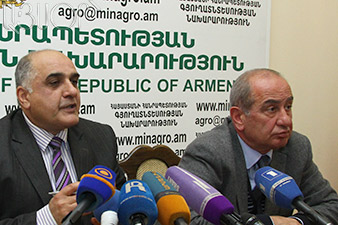 Egg shortage not reported in Armenian market 