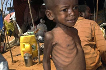 Africa Sahel belt region faces 'desperate food crisis'