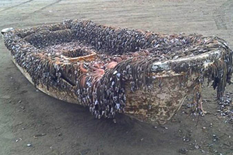 Boat washed ashore in Washington might be from 2011 tsunami in Japan