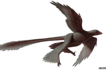 Four-winged dinosaur is 'biggest ever'