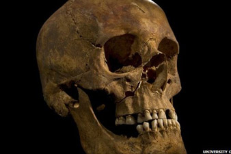 Richard III was bottle-a-day drinker, study suggests