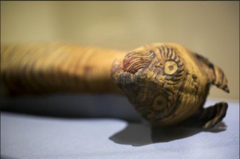 Egypt's animal mummy 'scandal' revealed