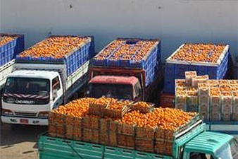 Armenia exports 43,400 tons of fruits and vegetables so far in 2015