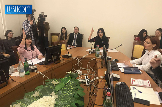 Bright Armenia faction MP elected deputy chairperson of Human Rights and Public Affairs Standing Committee