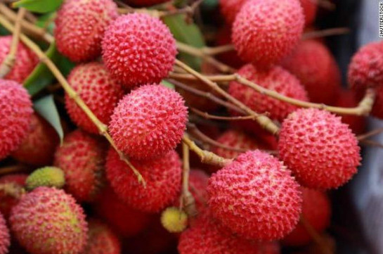 Brain disease linked to lychee toxins kills 47 children in India