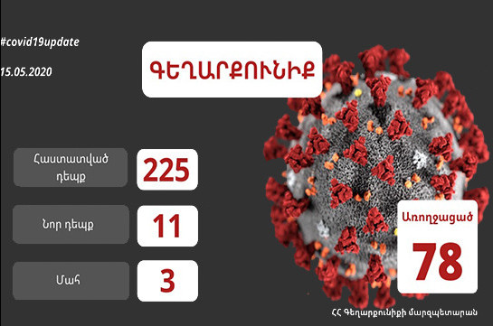 Eleven new confirmed coronavirus cases recorded in Armenia’s Gegharkunik province, making total number 225