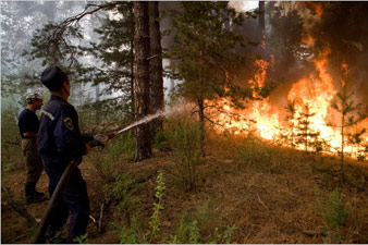 UAR: Relief supplies delivered to fire-affected Russian regions