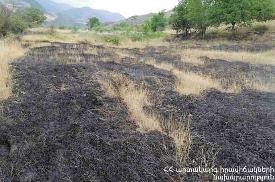 Հրշեջ-փրկարարները մարել են ընդհանուր մոտ 29 հա տարածքում բռնկված հրդեհները