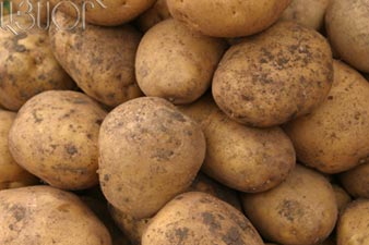 Potato prices to grow by spring