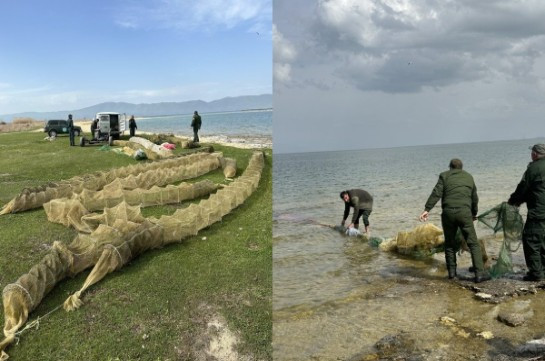 Նորաշենի արգելոցի «Սպիտակ ափ» կոչվող տարածքի ջրային հատվածից հայտնաբերել և դուրս է բերել թվով 19 հատ 10մ երկարությամբ ապօրինի տեղադրված խեցգետնաորսիչ