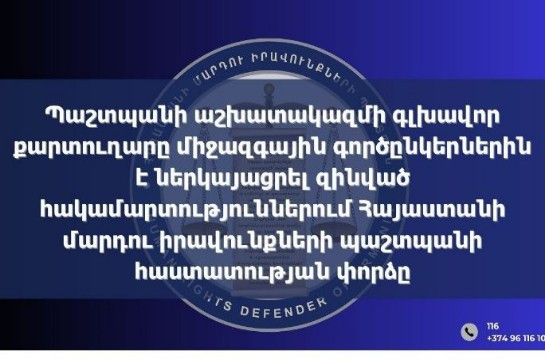 Միջազգային գործընկերներին ներկայացվել է զինված հակամարտություններում ՀՀ ՄԻՊ հաստատության փորձը