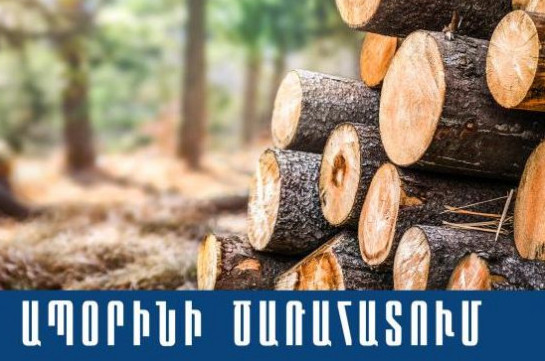 Ապօրինի հատել էր 25 ծառ, հրացանի համար էլ փաստաթուղթ չուներ. Ոստիկանության բացահայտումը