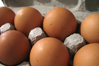 Egg prices to go up if… 